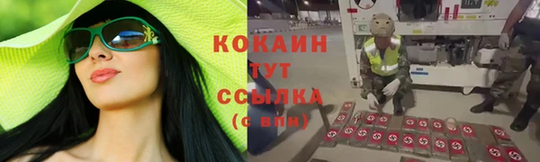apvp Галич