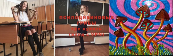 СК Осташков