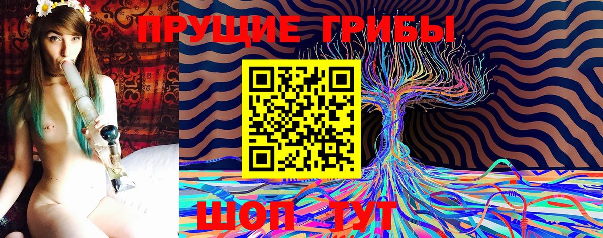 Галлюциногенные грибы MAGIC MUSHROOMS Асино