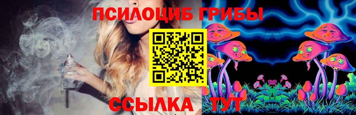 Галлюциногенные грибы Psilocybe  Вход с VPN  Асино 